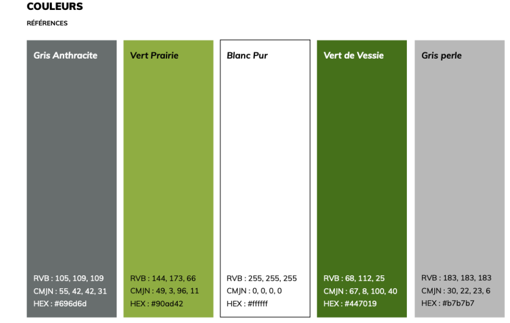 charte-graphique-couleurs